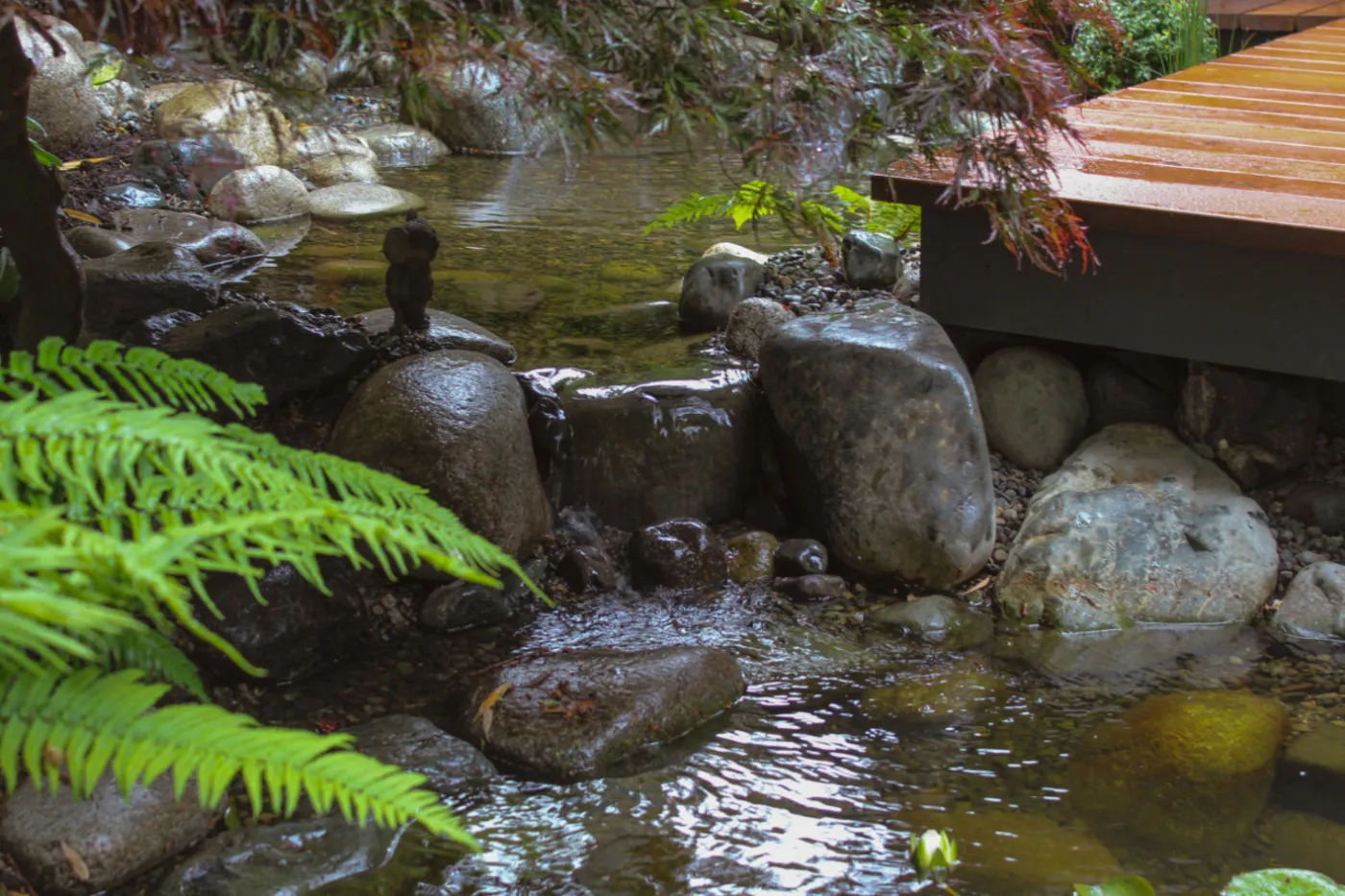 A completed EcoSystem Ponds project by Oxbow Aquatic Services in Greater Victoria.