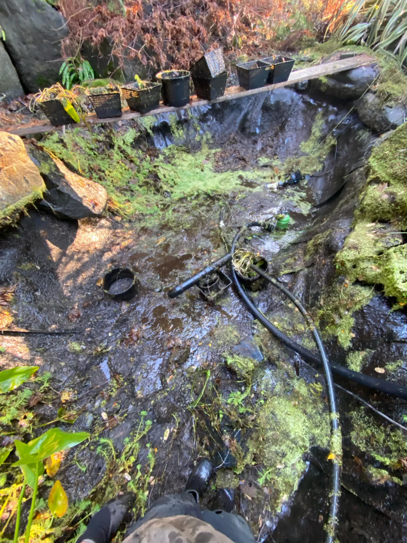 A completed Pond Maintenance project by Oxbow Aquatic Services in Greater Victoria.