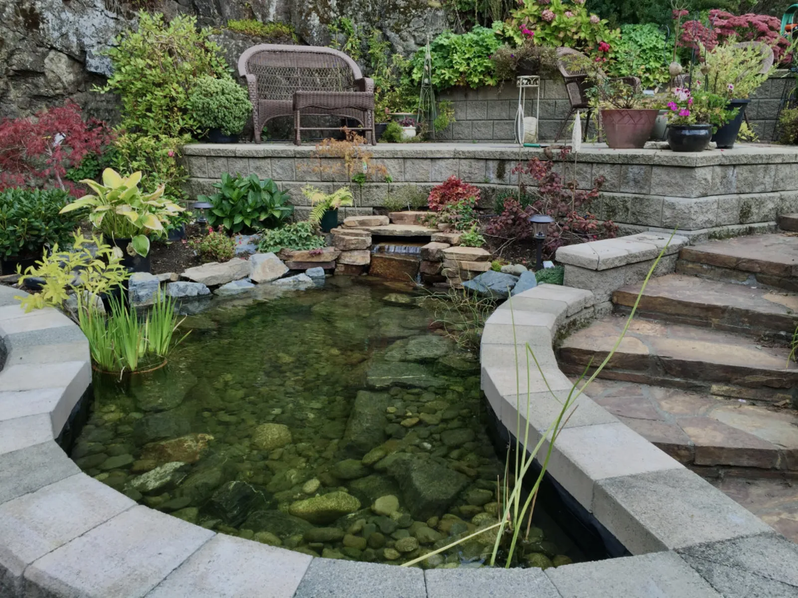 A completed Pond Maintenance project by Oxbow Aquatic Services in Greater Victoria.