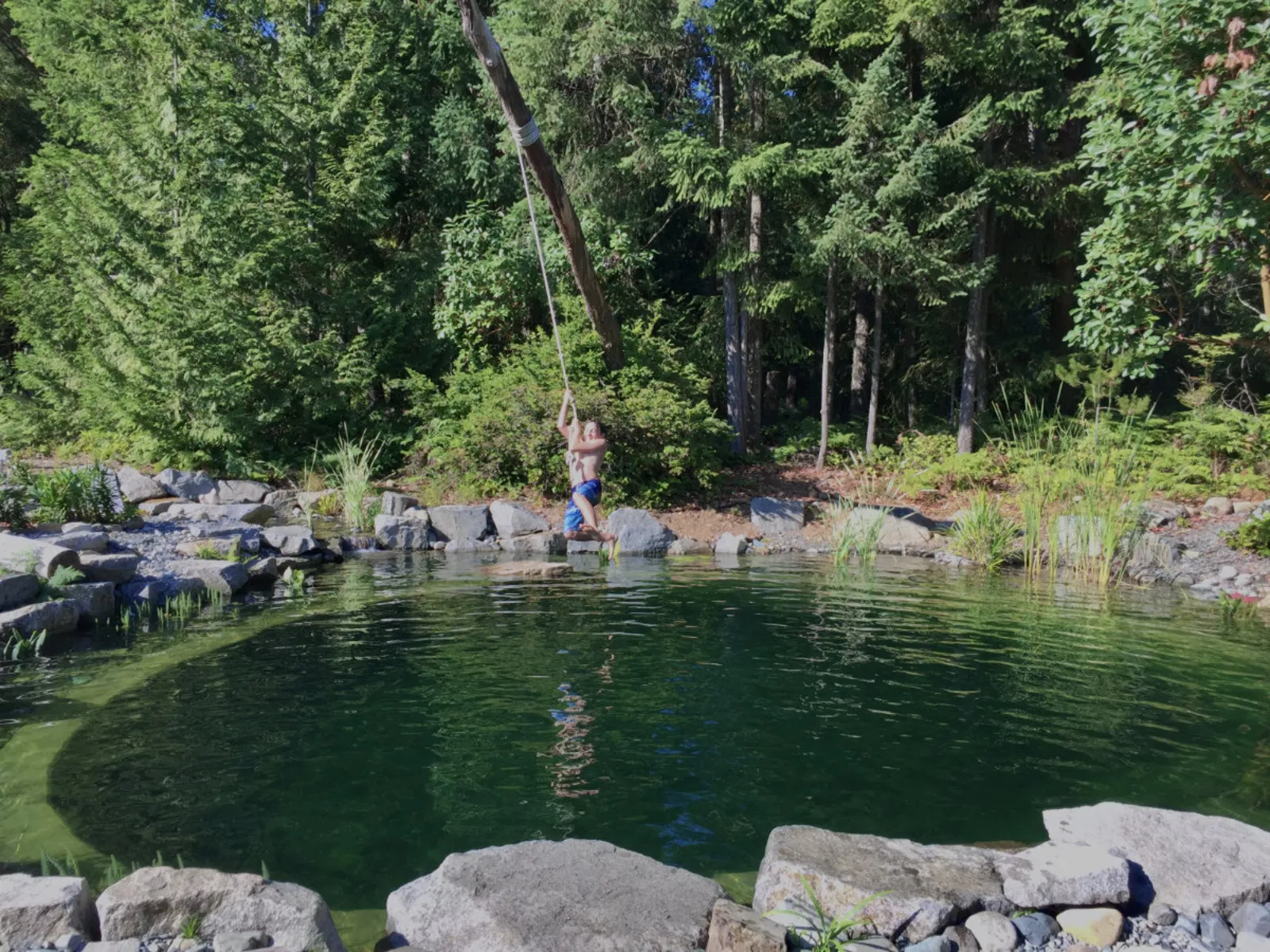 A completed Pond Maintenance project by Oxbow Aquatic Services in Greater Victoria.