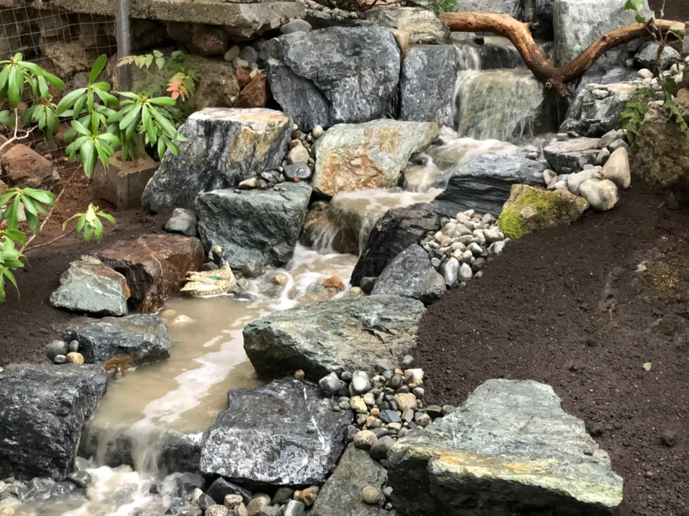 A completed Pondless Waterfalls project by Oxbow Aquatic Services in Greater Victoria.