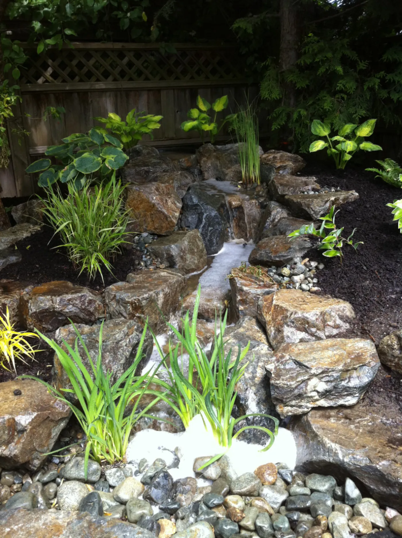 A completed Pondless Waterfalls project by Oxbow Aquatic Services in Greater Victoria.