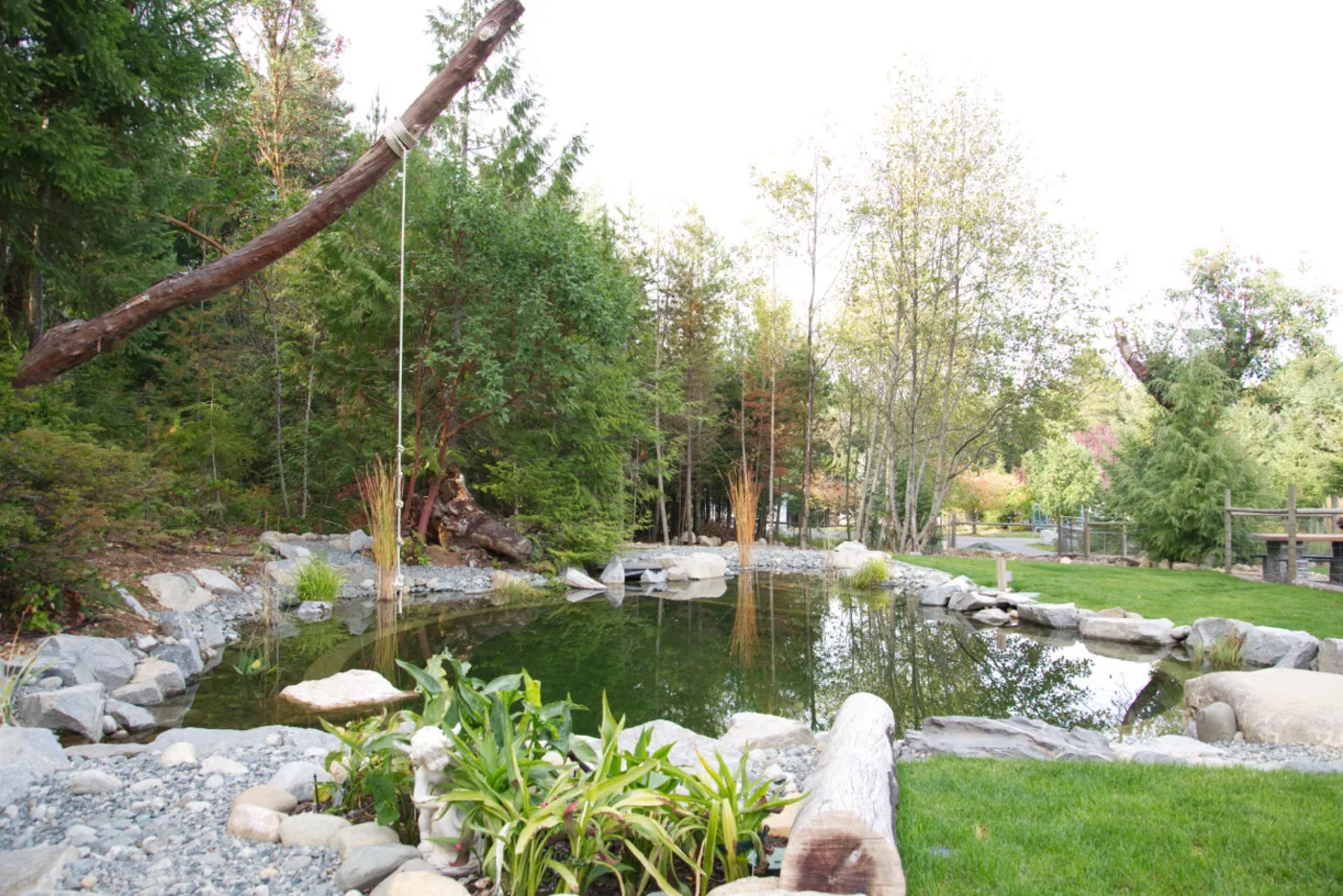 A completed Swim & Recreational Ponds project by Oxbow Aquatic Services in Greater Victoria.